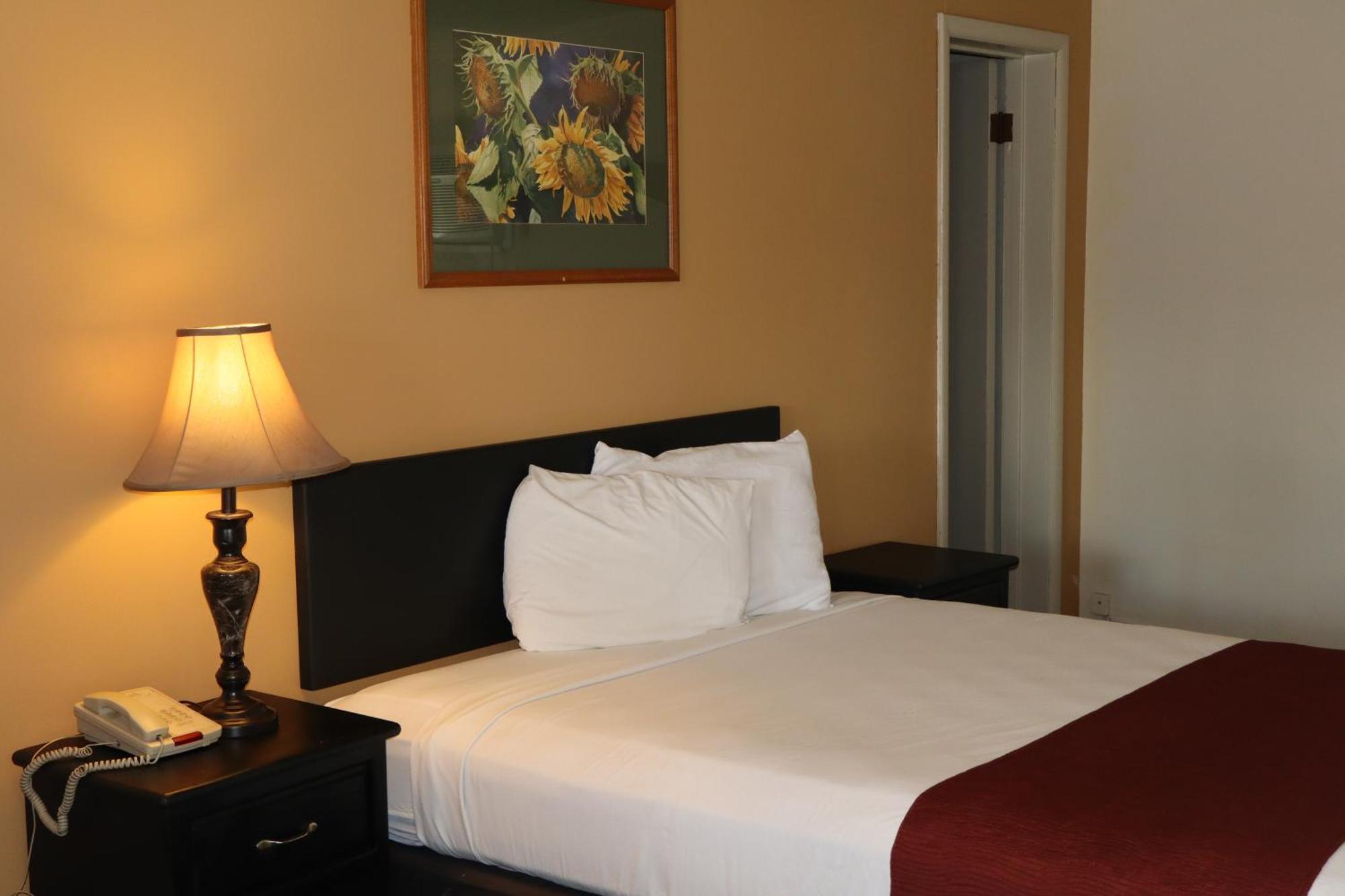 Black Canyon Motel Montrose Esterno foto