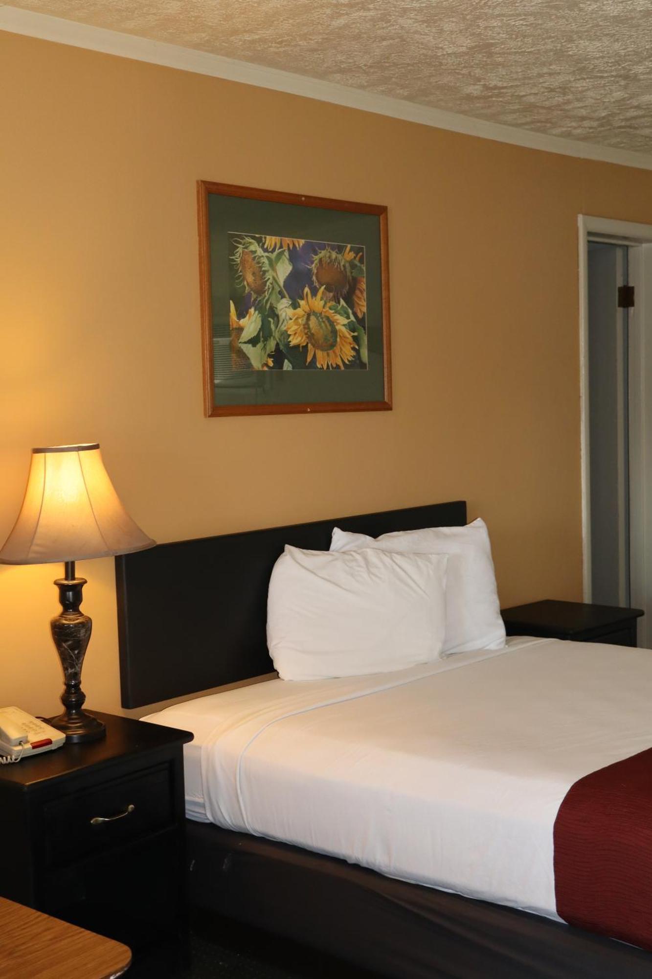 Black Canyon Motel Montrose Esterno foto